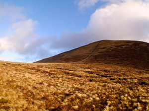 Mourne Heritage Trust