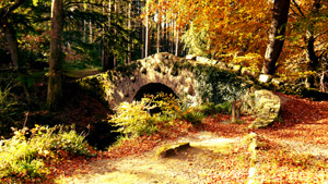 Foley's Bridge