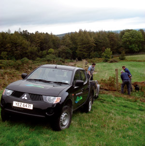 Ranger Service