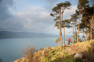 Rostrevor