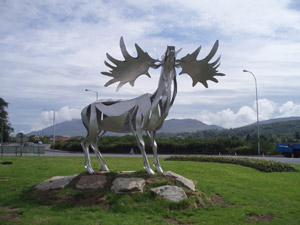 Elk