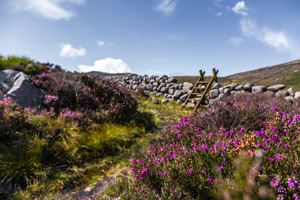 Mourne Heritage Trust