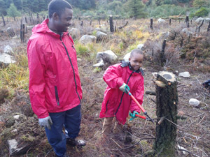 Mourne Heritage Trust