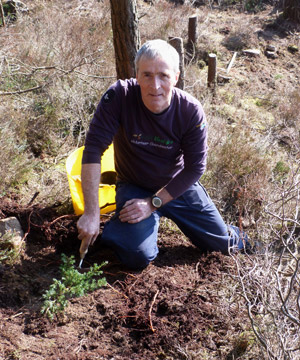 Northern ireland biodiversity strategy consultation