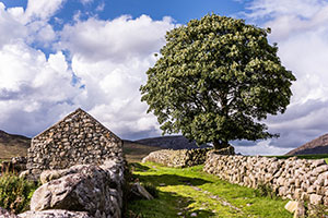 Mourne Heritage Trust
