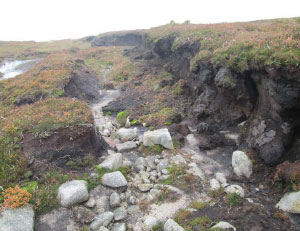 Mourne Heritage Trust