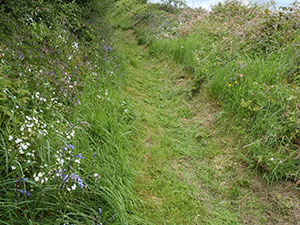 Mourne Heritage Trust