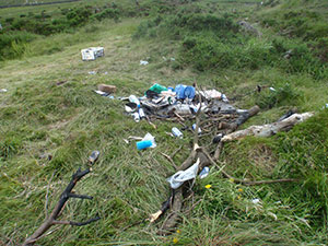 Mourne Heritage Trust